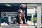 【タイ】北部チェンマイで「忠犬ハチ公像」が登場