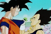 【ドラゴンボール】ベジータが悟空に勝てない理由ｗｗｗｗｗ