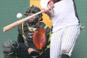 阪神期待の新戦力、２年目・野口が長打力でアピール　岡田監督「天性のもんやろな」