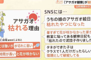 「宿題として破綻」アサガオの観察が超難題に?ラジオ体操は1週間だけ?暑さで夏休みの定番に異変
