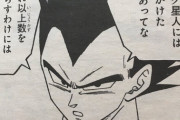 ドラゴンボールのファン「ベジータは善人として扱われ、ナッパは悪人のまま作中で殺されて可哀想」
