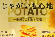 意識高そうなポテトチップスあるやん