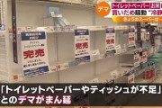 トイレットペーパーの買い占めとは何だったのか