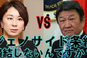 「日本〇ね」の山尾志桜里議員、国会でウイグル問題を追及