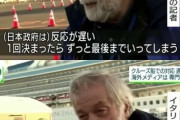 クルーズ船の乗客数万人、下船許されず　豪州沖に14隻