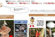 【農水省】食べてはいけない毒きのこを紹介「野生の毒きのこを誤って食べる人後を絶たない」