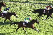 富士Sでソングラインが勝利!! 3歳馬強すぎワロタｗｗｗｗ