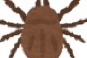 【絶望】マダニに刺され女性死亡。これ怖すぎだろ・・・・・