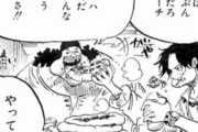 【驚愕】なんで「黒ひげ」ってエースのメラメラ奪わなかったん？？？