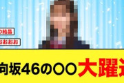 【おひさま感涙】あの日向坂メンバーの躍進が凄いことに【日向坂46】