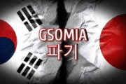【悲報】韓国人「日本が韓国に報復することが事実上不可能な理由とは・・」　韓国の反応