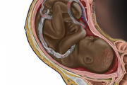 【画像】黒人さん　「“黒人の胎児”のイラストを初めて見た瞬間、涙で震えが止まりませんでした…」