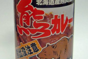 【悲報】日本人、ヒグマ駆除に「クマが可哀想…」とクレームを入れてしまう