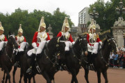 ロンドンで英軍近衛騎兵隊の馬3頭がまた暴走、タクシーなどに衝突…4月にも5頭が市街地などを暴走！