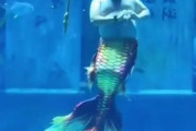 「想像していたのと違う!?」水族館を優雅に泳ぐ衝撃のマーメイド男