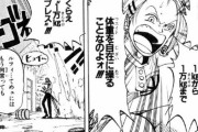 ワンピースの敵「自分の能力の説明しなきゃ…」