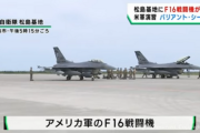 印パ戦争　100機単位の大規模な空中戦は第二次世界大戦以降初　  [5/10]