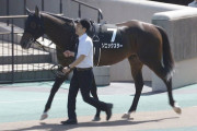 【競馬予想】[2]第16回 レパードステークス(GIII) /2024