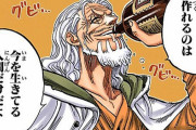 【ワンピース】レイリーってなんで海軍に追われないの？？？？？
