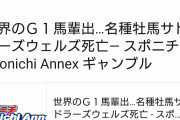 【競馬】　水上学先生、9年前に亡くなったサドラーズウェルズをなぜか今追悼