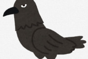 カラスとかいう本当は可愛すぎる動物見て・・・