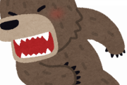 （ヽ´ん`）「クマに俺の人生めちゃくちゃにされた。」