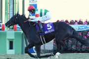 【ホープフルS】キラーアビリティが抜け出しＧI初制覇！横山武は有馬に続きＧI連勝