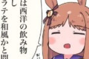 【ウマ娘】マンボも「そうだそうだ」と言っています。
