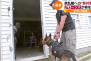 米国、銃乱射に画期的な新対策　クローン犬を各所に配置　高い知性と特殊訓練で怯まず犯人を襲う
