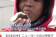 【画像】NYの学校でおにぎりが配布され歓喜の声ｗｗｗｗｗ