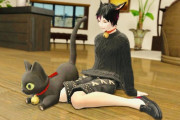 【FF14】ハウジング民「ハウスでペットが飼いたい！新コンテンツとして実装するべき！」