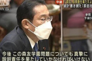 でも岸田文雄が総理になった時はなんJ民もみんな支持してたよね