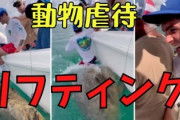 【海外の反応】「動物虐待だ」アメリカ代表エース、釣り中の行為で炎上！批判殺到！