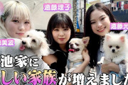 初お披露目！櫻坂46小池美波×遠藤光莉×遠藤理子のワンちゃん動画が大好評配信中【櫻坂チャンネル】