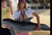 アメリカの19歳男性「イルカの赤ちゃん発見！抱き上げて写真取ったろｗSNS映えｗ」→イルカ死亡、男性は最悪すぎる言い訳・・・