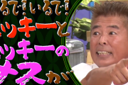 人気タレント・勝俣州和さん「ディズニーランドに関西弁はいらない。世界観壊れる」