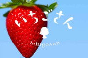 【いちご苗盗難】佐賀のイチゴ新品種「いちごさん」の苗、盗難相次ぐ　農家困惑「何のため？」