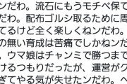 【悲報】テコンダー朴作者、『ウマ娘運営』にヘイトスピーチ発令へｗｗｗｗ