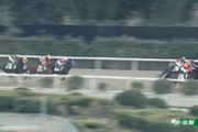 【競馬】佐賀競馬で噛みつき事案