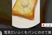 【画像】ヒカキン「雪見だいふくをパンにのせて焼いたらうめぇ」