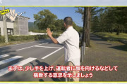 車カスは道交法38条２知っているか？横断歩道前で停止車ある時は必ず止まる。しないとこうなる。  [866556825]