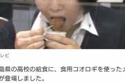 【悲報画像】日本の給食、遂にコオロギになるwwwwwwwwwwwwwwwww