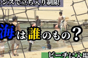 【悲報】沖縄の業者「海に入るならお金払ってね！」観光客「条例違反では？」業者「は？入場料としては徴収してませんけど？」←どういうこと？?