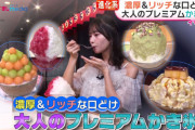 【≠ME】尾木波菜、『めざましテレビ』イマドキで "大人のプレミアムかき氷" を紹介🍧
