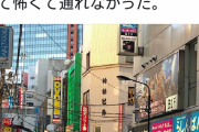 【悲報】聖地・秋葉原がとんでもないことになってる…