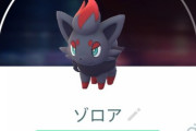 【ポケモンGO】ガラル3鳥を相棒にしてると不意のゾロア湧きで大混乱