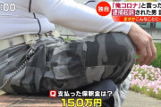 こどおじ「俺コロナ！」→逮捕→２３０万円母親全額弁償→こどおじ「冗談でこんなことになるとは」