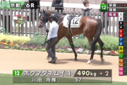 【日曜京都6R】ボクマダネムイヨ＆川田騎手がｷﾀ━━━━(ﾟ∀ﾟ)━━━━!!