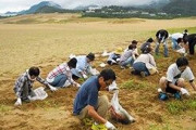 【悲報】鳥取砂丘さん、「草むしり」していた