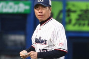 ヤクルトスワローズ（勝率.310）　対セリーグ勝率.311　対パリーグ勝率.308